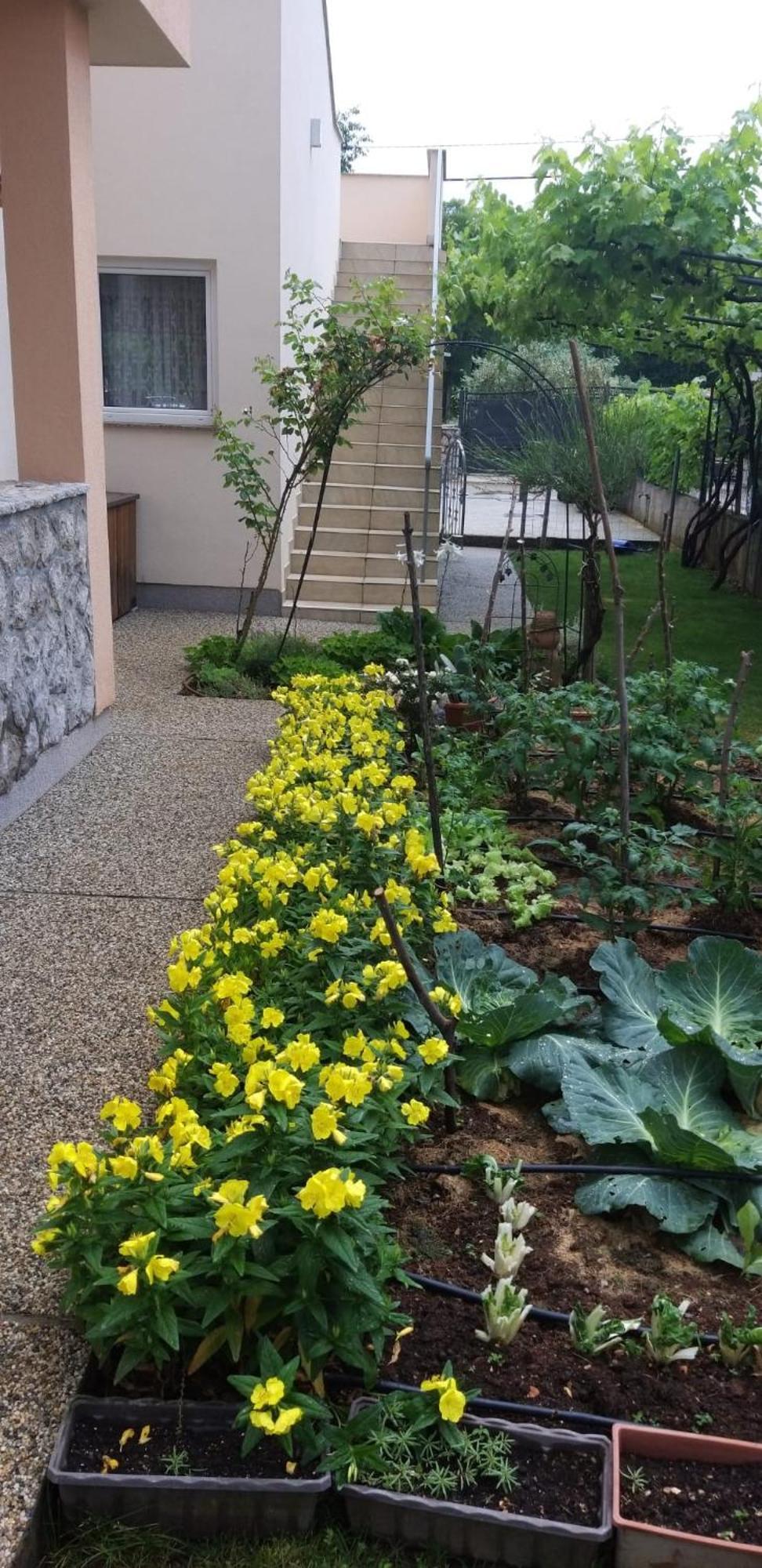 Apartmani Anita Malinska Luaran gambar