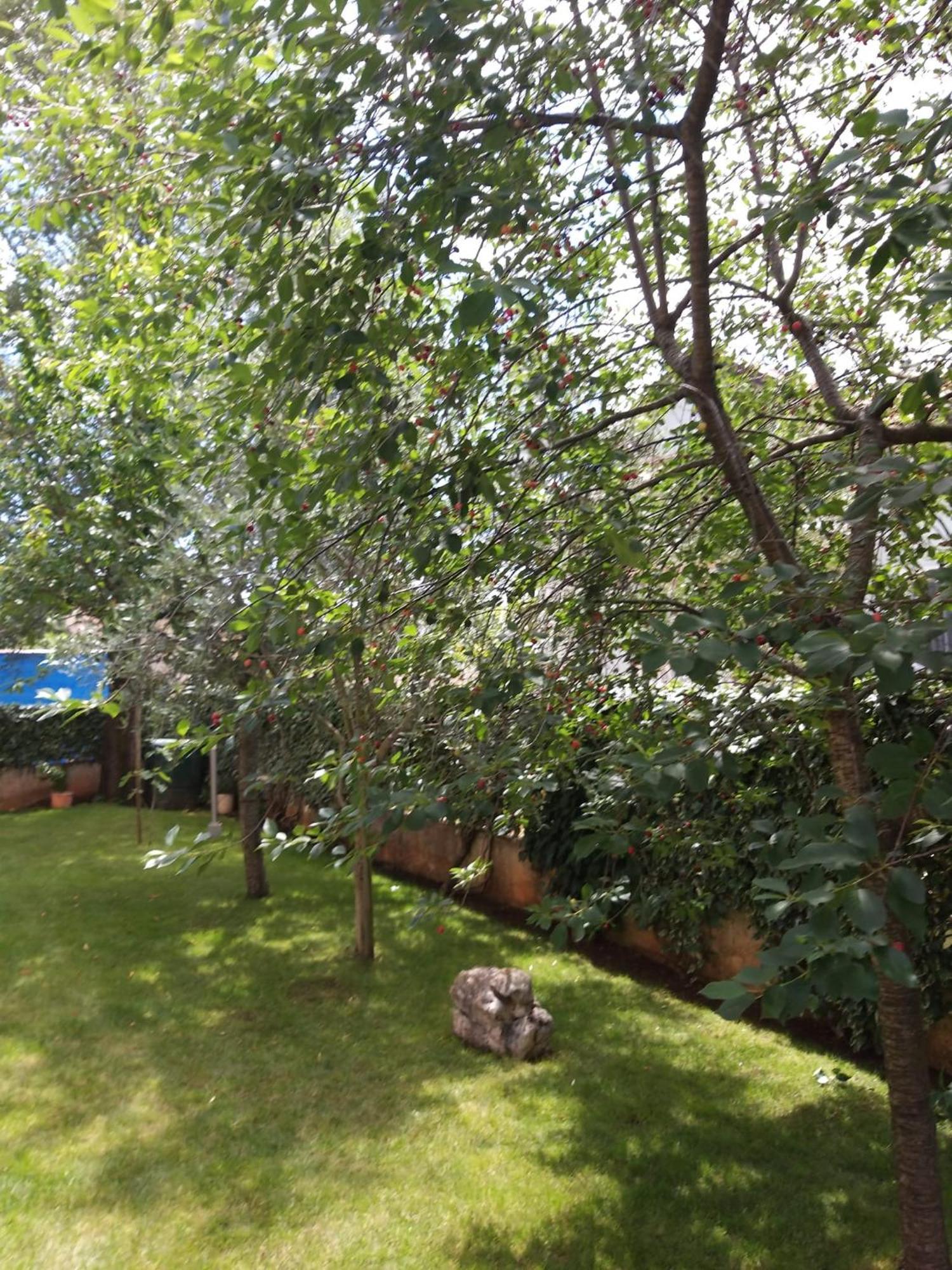 Apartmani Anita Malinska Luaran gambar